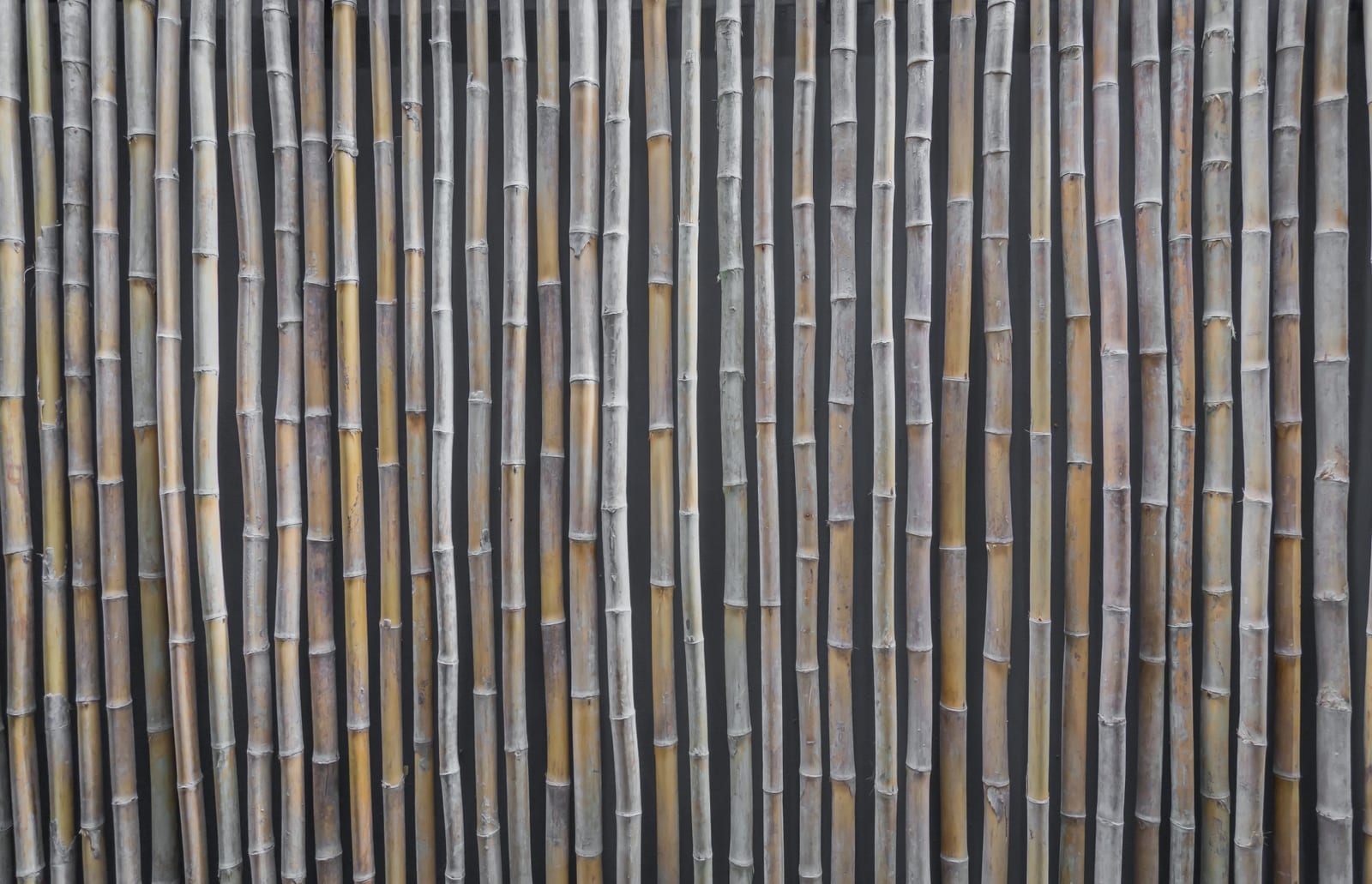 Painel de Bambu para Muros e Paredes — bambu tratado produzido pela Artbambu