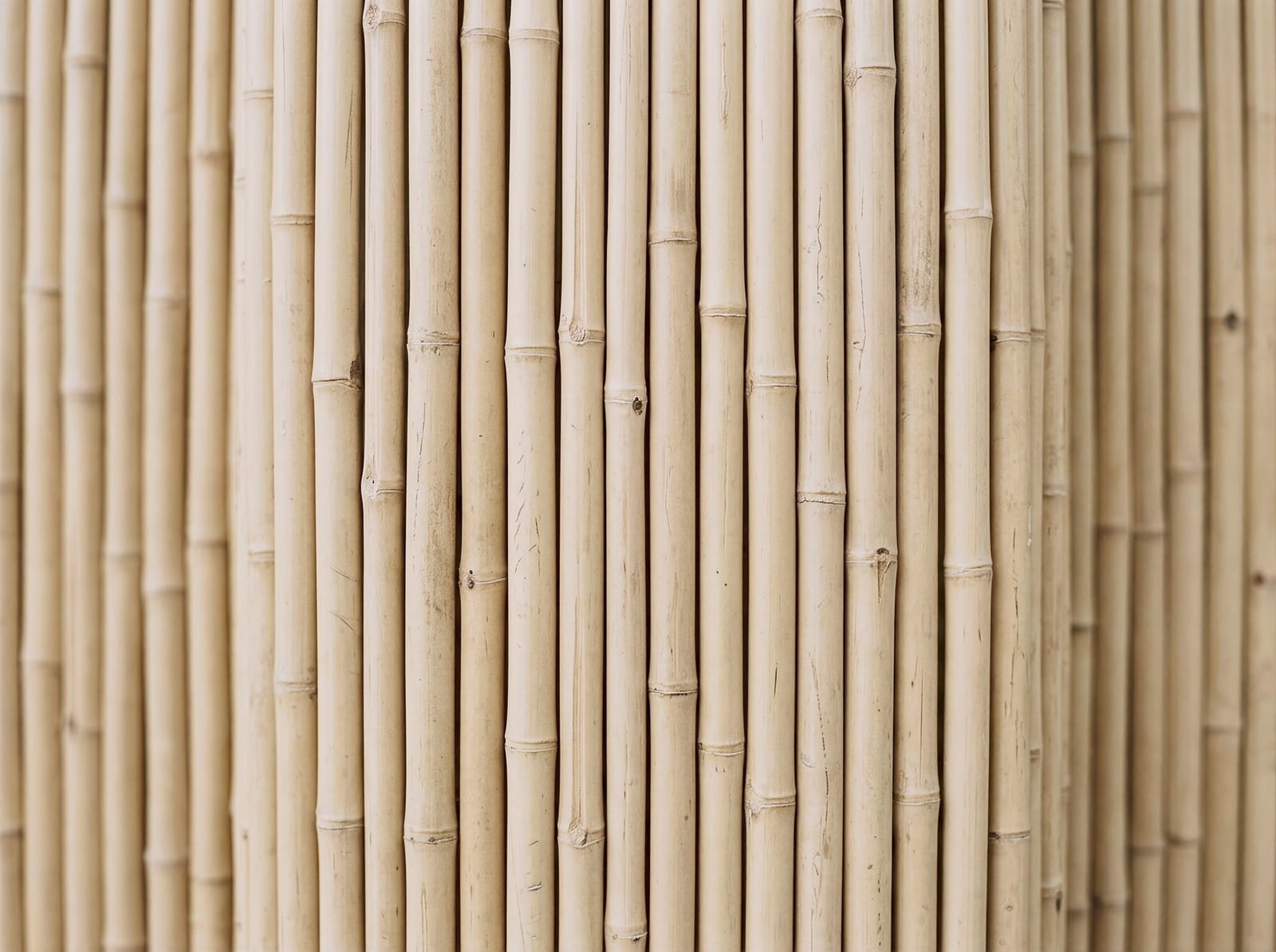 Biombo de Bambu com Palha — bambu tratado produzido pela Artbambu